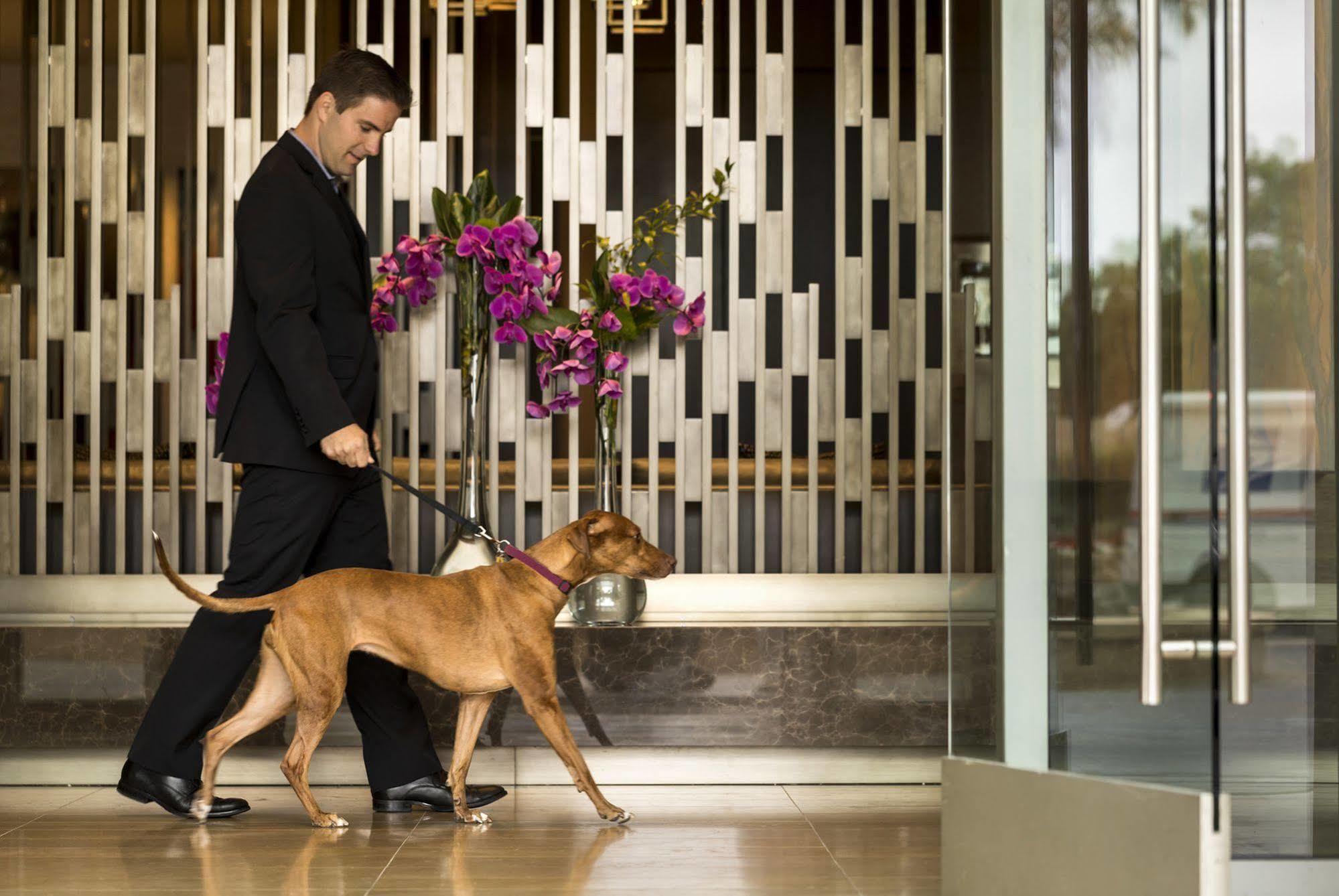 Four Seasons Hotel Silicon Valley At East Palo Alto Exteriér fotografie